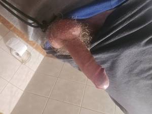 Penis 9