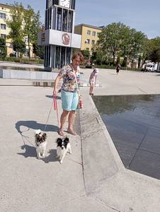 Spacer z papilonami. 3