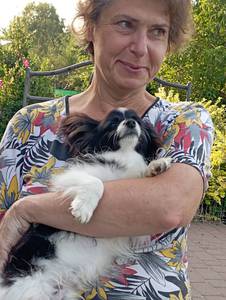 Przytulanki z papillonkiem. 1