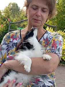 Przytulanki z papillonkiem. 3