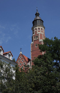 ul Kopernika ogród botaniczny w Kraków 5