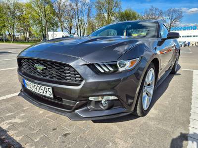 Mustang 50 Years Edition 1