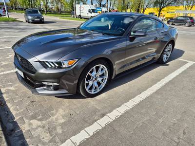 Mustang 50 Years Edition 2