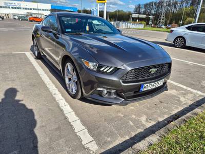 Mustang 50 Years Edition 3