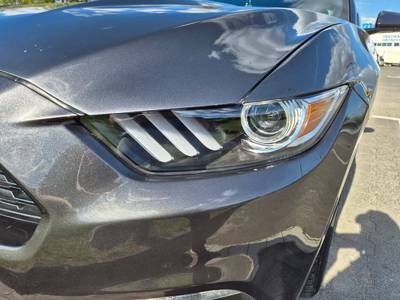 Mustang 50 Years Edition 4
