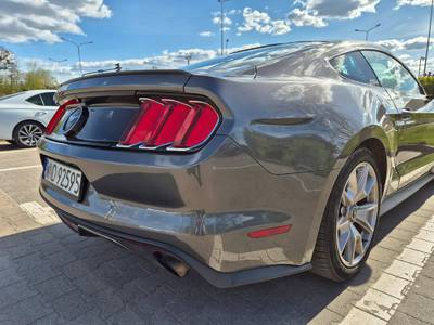 Mustang 50 Years Edition 5