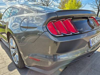 Mustang 50 Years Edition 6