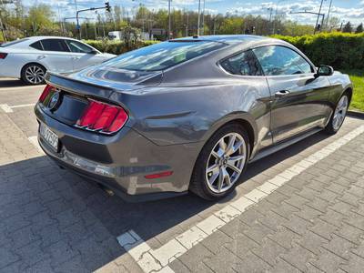 Mustang 50 Years Edition 8