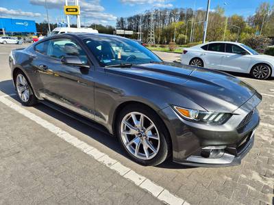 Mustang 50 Years Edition 10