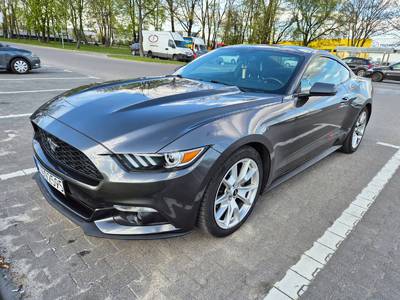 Mustang 50 Years Edition 11