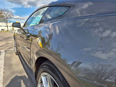 Mustang 50 Years Edition 14