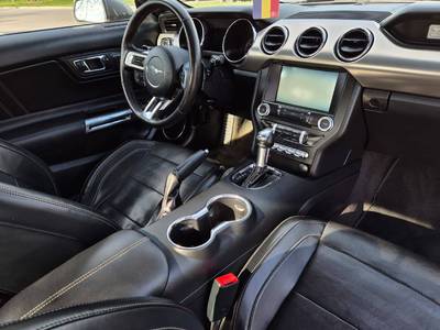 Mustang 50 Years Edition 15