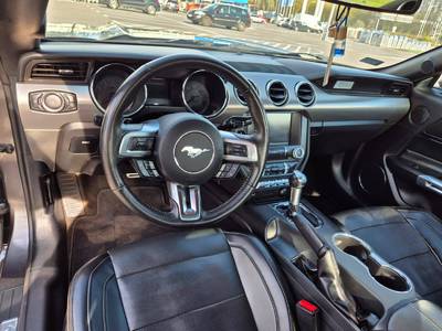 Mustang 50 Years Edition 16
