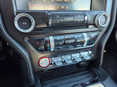 Mustang 50 Years Edition 17