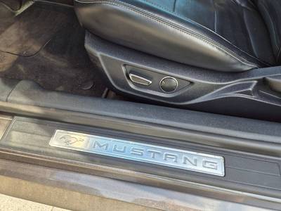 Mustang 50 Years Edition 21