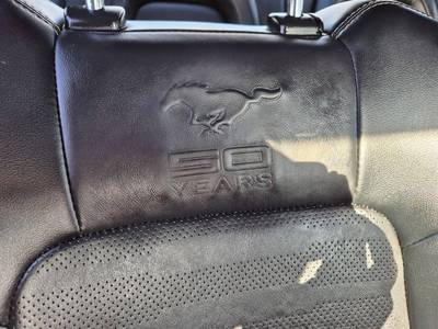 Mustang 50 Years Edition 23