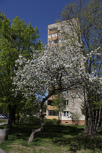 Kościół Matki Boskiej Dobrej Rady , architektura Prokocimia i park Jerzmanowskiego , w Krakowie. 21