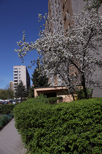 Kościół Matki Boskiej Dobrej Rady , architektura Prokocimia i park Jerzmanowskiego , w Krakowie. 24