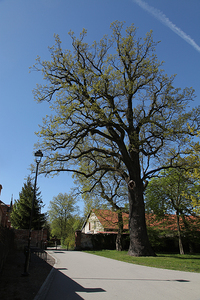 Kościół Matki Boskiej Dobrej Rady , architektura Prokocimia i park Jerzmanowskiego , w Krakowie. 31