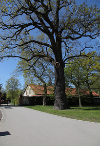 Kościół Matki Boskiej Dobrej Rady , architektura Prokocimia i park Jerzmanowskiego , w Krakowie. 32