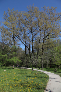 Kościół Matki Boskiej Dobrej Rady , architektura Prokocimia i park Jerzmanowskiego , w Krakowie. 35