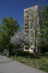 Kościół Matki Boskiej Dobrej Rady , architektura Prokocimia i park Jerzmanowskiego , w Krakowie. 52