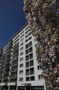 Kościół Matki Boskiej Dobrej Rady , architektura Prokocimia i park Jerzmanowskiego , w Krakowie. 54