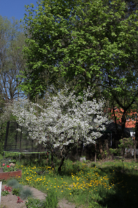Kościół Matki Boskiej Dobrej Rady , architektura Prokocimia i park Jerzmanowskiego , w Krakowie. 72