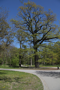 Kościół Matki Boskiej Dobrej Rady , architektura Prokocimia i park Jerzmanowskiego , w Krakowie. 76