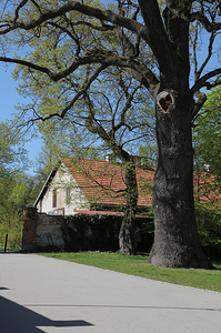 Kościół Matki Boskiej Dobrej Rady , architektura Prokocimia i park Jerzmanowskiego , w Krakowie. 81