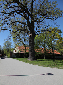 Kościół Matki Boskiej Dobrej Rady , architektura Prokocimia i park Jerzmanowskiego , w Krakowie. 82