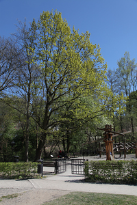Kościół Matki Boskiej Dobrej Rady , architektura Prokocimia i park Jerzmanowskiego , w Krakowie. 89
