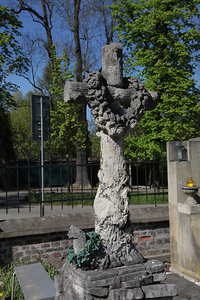 Salwator w Krakowie Park przy kopcu Kościuszki i cmentarz 42