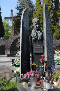 Salwator w Krakowie Park przy kopcu Kościuszki i cmentarz 73