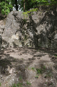 Krakowskie Stare Podgórze,Park Beddnarskiego 26