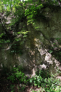 Krakowskie Stare Podgórze,Park Beddnarskiego 28