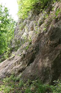 Krakowskie Stare Podgórze,Park Beddnarskiego 29