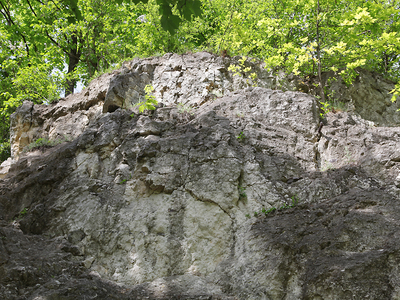 Krakowskie Stare Podgórze,Park Beddnarskiego 30