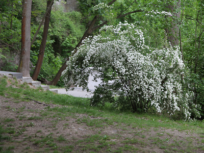Krakowskie Stare Podgórze,Park Beddnarskiego 38