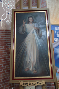 Krakowska dzielnica Kurdwanów 53