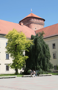 Krakowski Wawel i okolice 37