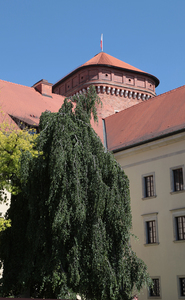 Krakowski Wawel i okolice 51