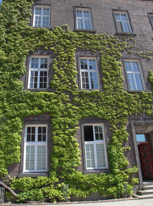 Krakowski Wawel i okolice 60