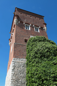 Krakowski Wawel i okolice 63