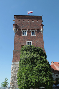 Krakowski Wawel i okolice 65
