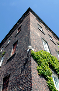 Krakowski Wawel i okolice 66