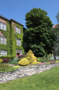 Krakowski Wawel i okolice 68
