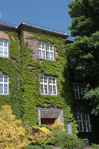 Krakowski Wawel i okolice 71