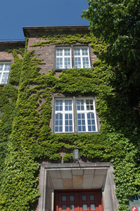 Krakowski Wawel i okolice 73