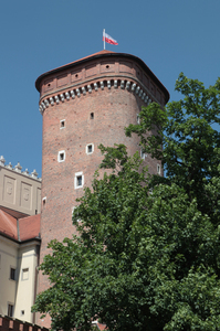 Krakowski Wawel i okolice 77